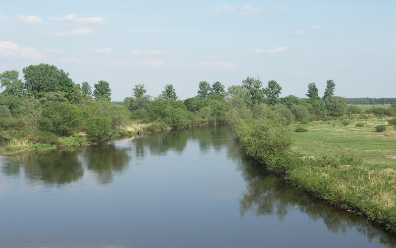 Warta river – the end part of the restored stretch near Ląd village (photo: Mateusz Stelmaszczyk) 